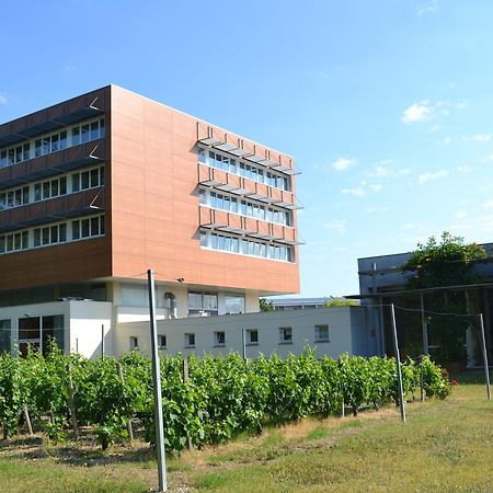 Hotel De Guyenne Talence Bagian luar foto