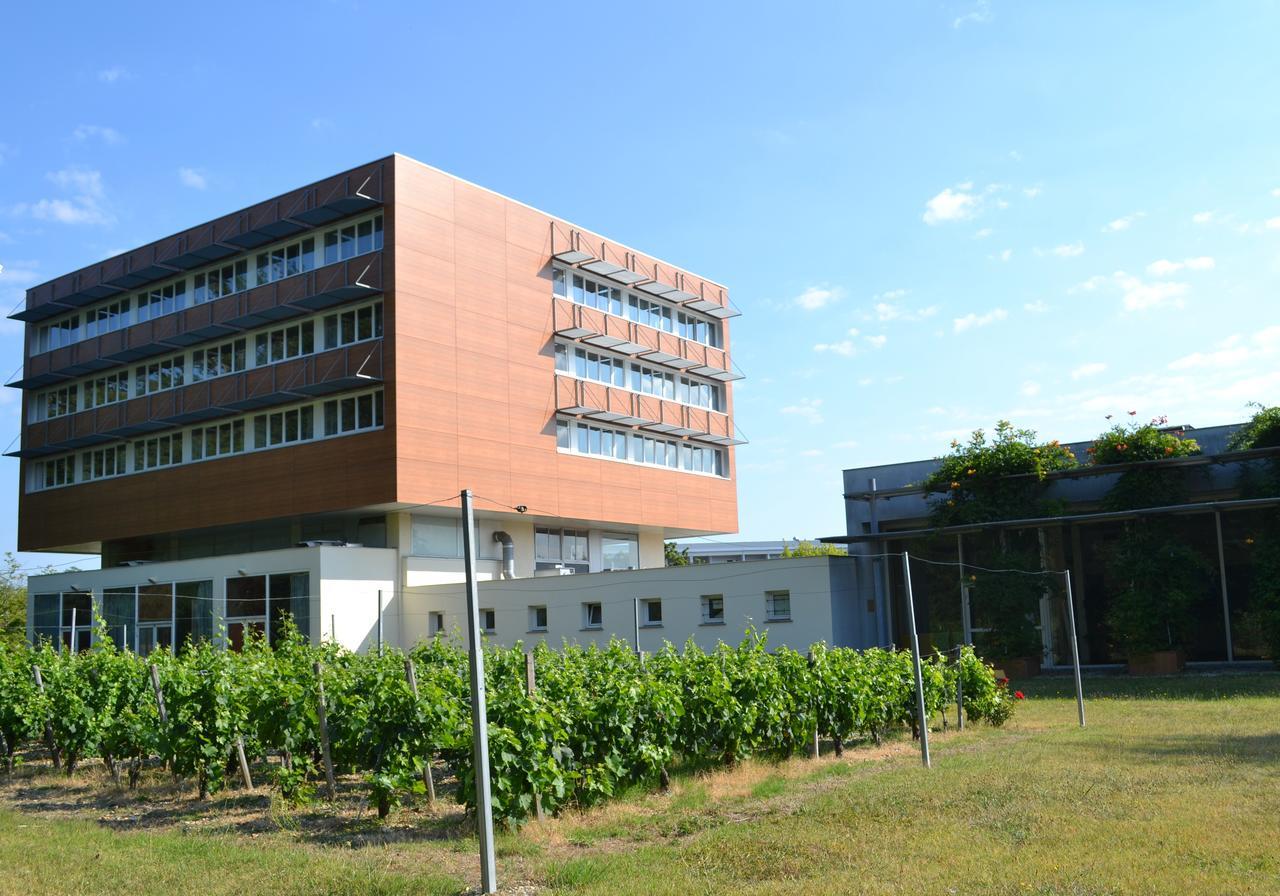 Hotel De Guyenne Talence Bagian luar foto